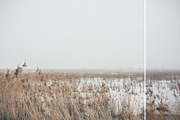 Foggy fields- 6 presets for Lr preview 5