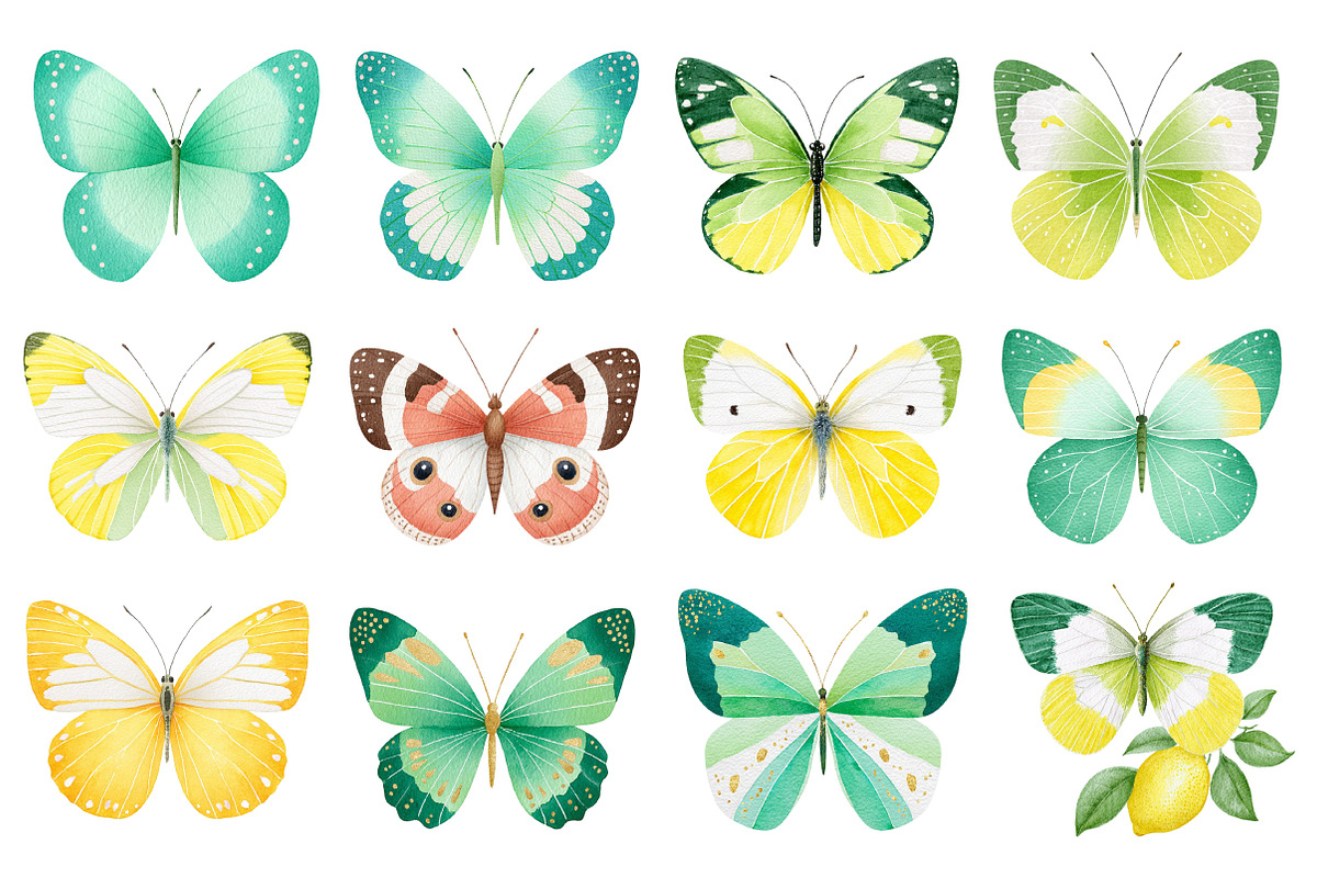 Watercolor Butterfly Clipart Bundle, an Illustration by Dream Creation (Photo 5 of 6)