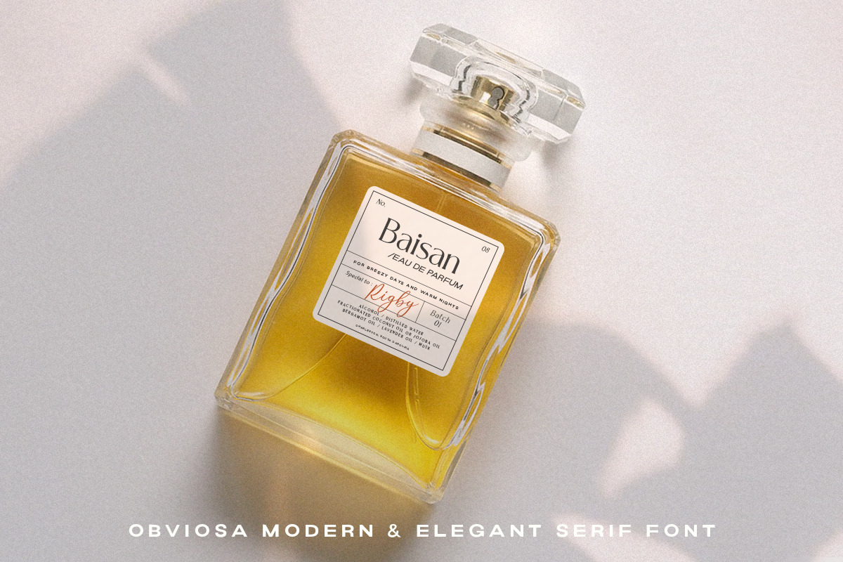 Obviosa - Modern Serif, a Serif Font by Letterhend Studio (Photo 6 of 10)