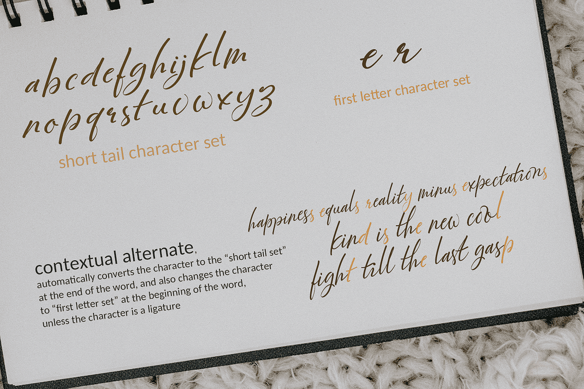 Majestic Wisteria Font, a Handwritten Font by Letterhanna Studio (Photo 18 of 21)