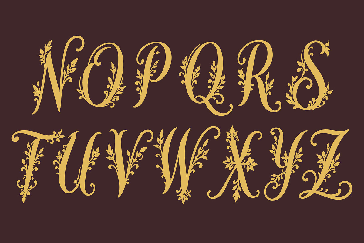 WynsteraQalis Decorative Floral font, a Script Font by HypeWorksCo (Photo 22 of 24)
