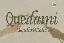 Quedami – Serif Font