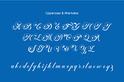 Athletic Sleek Round Sporty Baseball, a Script Font by WhymoreArt (Thumbnail 10 of 10)