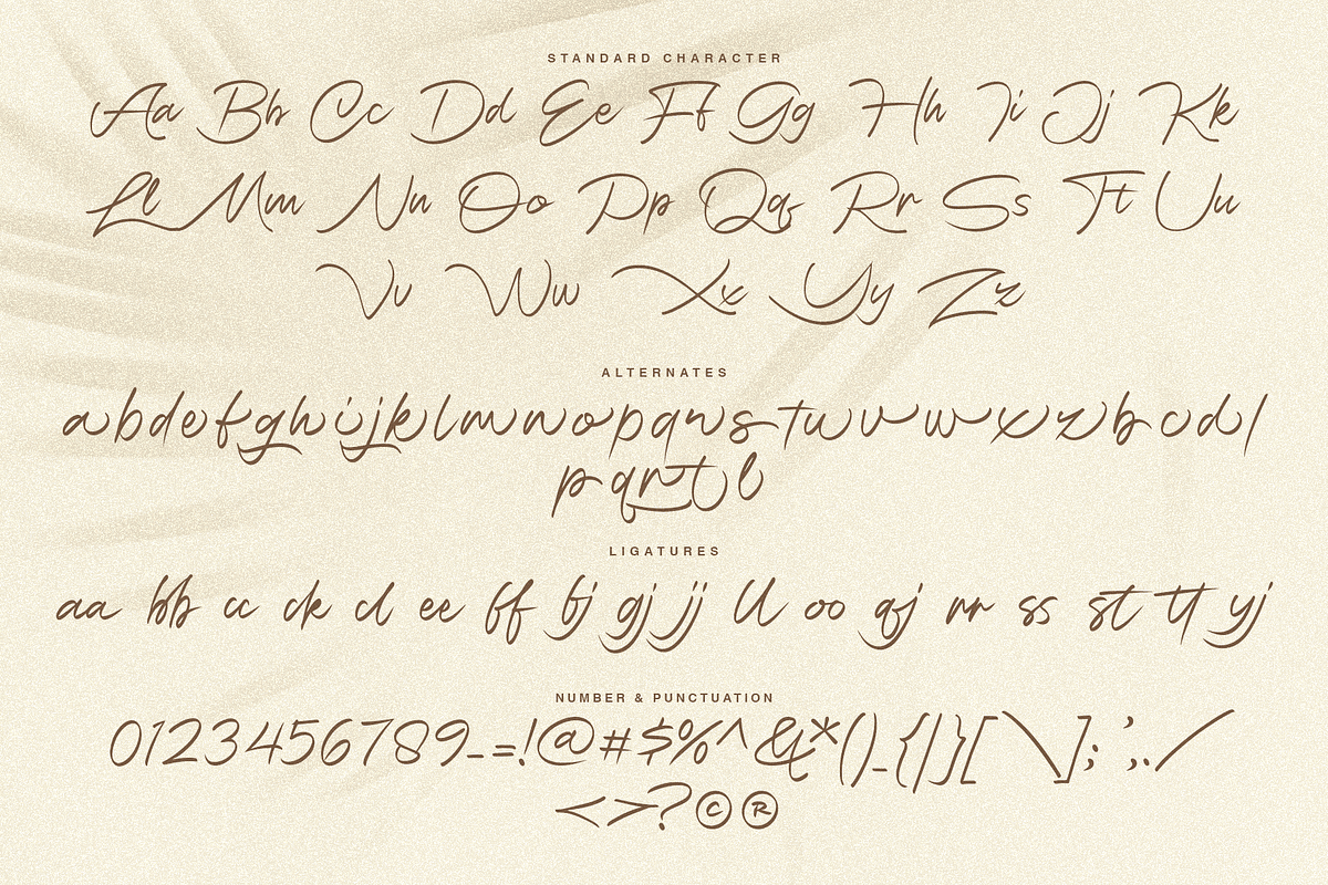 Moonlight Breeze | Handwritten font, a Script Font by Jolicia Type (Photo 7 of 10)
