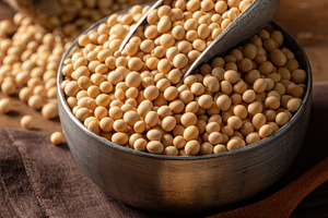Soybeans in bowl scoop and burlap ba, a Photo by Pixeness Studio