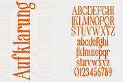 Pheromone | Modern Classic Serif, a Serif Font by Lettertype Studio (Thumbnail 7 of 20)