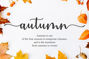 Astylife, a Script Font by Natural Ink Studio (Thumbnail 7 of 8)
