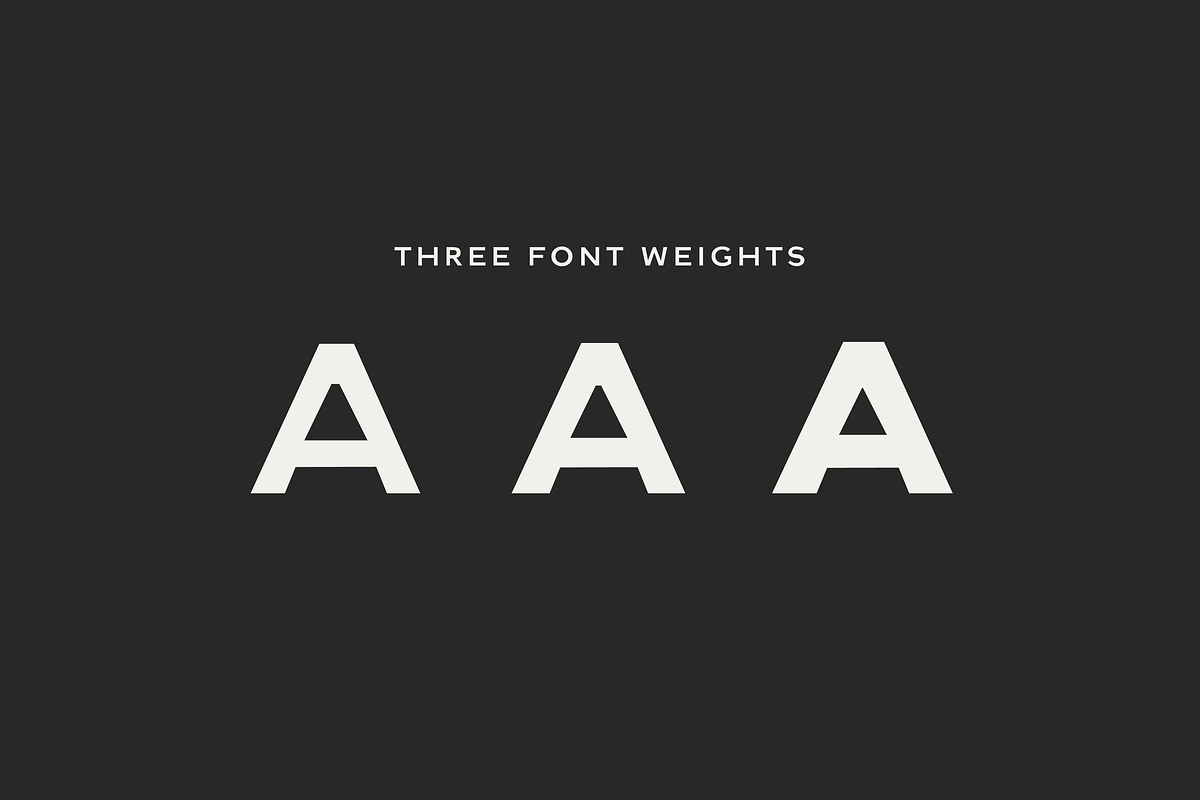 Milne - A Bold Sans Serif, a Sans Serif Font by Cassandra Cappello (Photo 2 of 11)