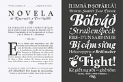 Berganza Font, a Serif Font by Cuchi, qué Tipo! Foundry (Thumbnail 8 of 10)
