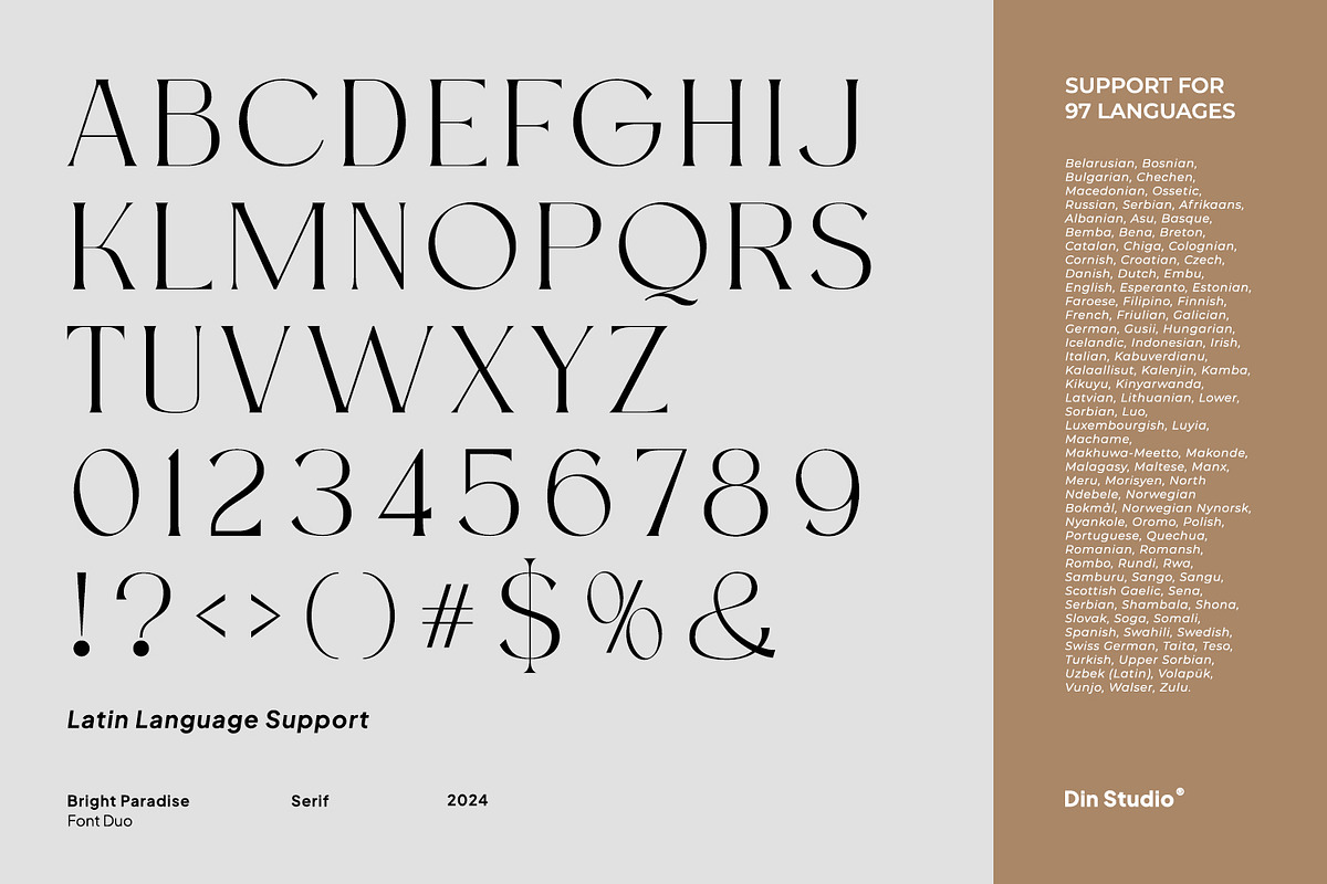 Brighter Paradise, a Serif Font by din-studio.com (Photo 10 of 15)