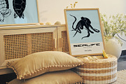 Sealife |  Poster Builder, an Object Graphic by KetteCreate (Thumbnail 10 of 12)