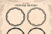 Winter Moths & Evergreen Botanicals, a Seasonal Illustration by Ink Stories (Thumbnail 12 of 15)