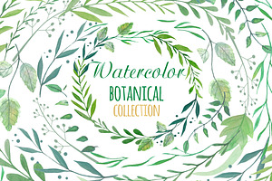 Watercolor Botanical Clipart