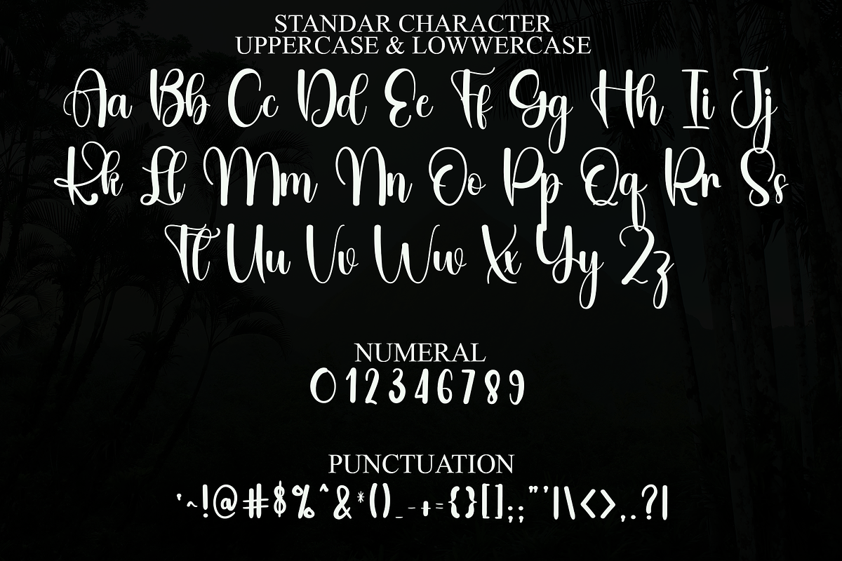 Creative Signature, a Handwritten Font by FreshTypeINK (Photo 3 of 8)
