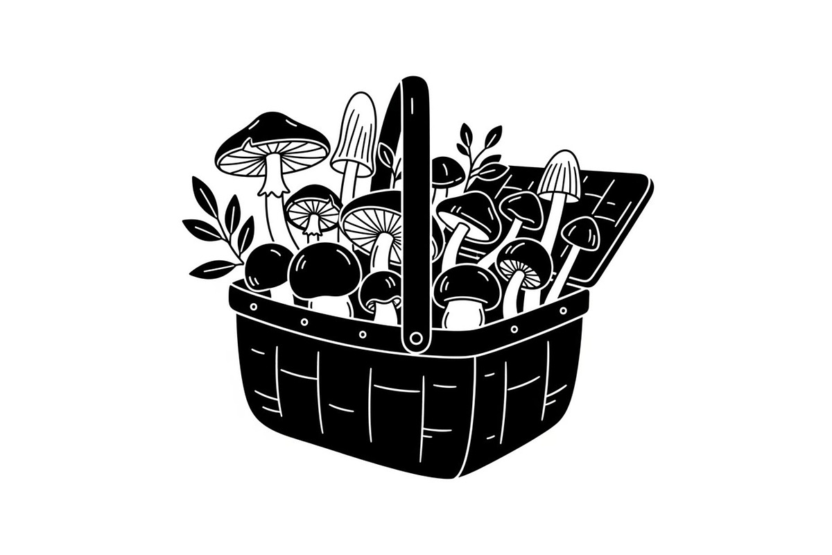 50 Woven Basket Vector Bundle, an Illustration by Designs_River (Photo 47 of 51)