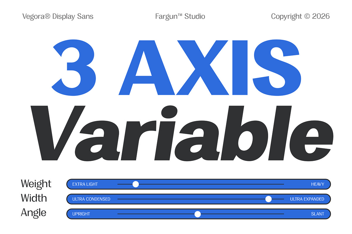 Vegora Display Sans, a Sans Serif Font by Fargun Studio (Photo 9 of 15)