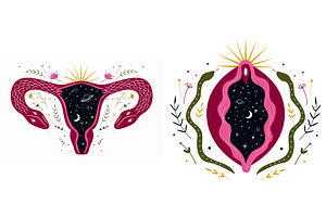 Female Reproductive System. Vagina