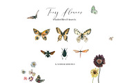 Tiny Flowers Pressed Floral Clipart, an Illustration by whiteheartdesign (Thumbnail 7 of 17)