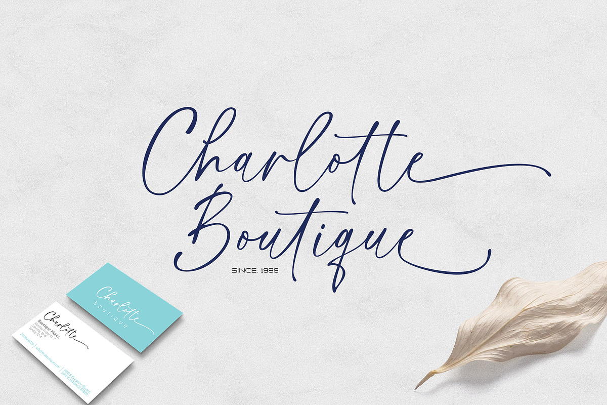 Handsome Lasting Script, a Script Font by moriztype (Photo 2 of 14)