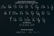 Signature Design, a Handwritten Font by InermediaSTUDIO (Thumbnail 8 of 8)