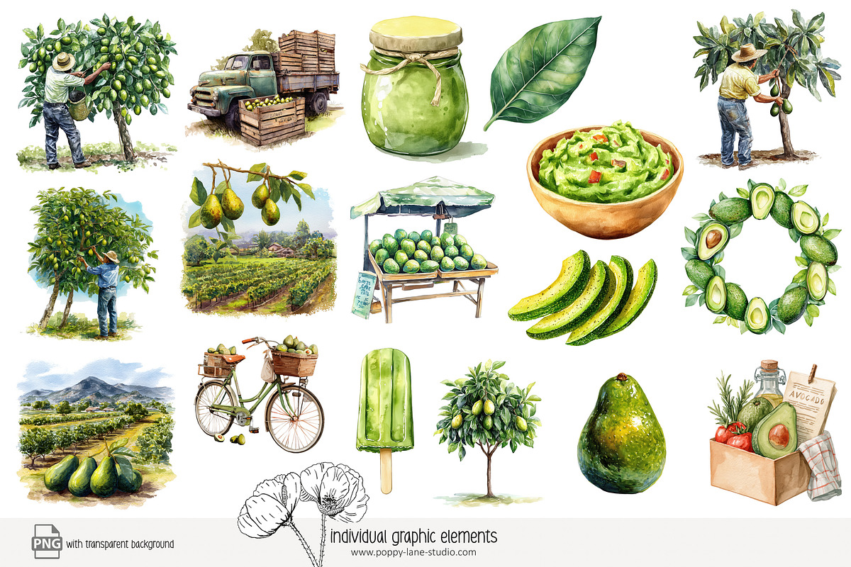 100 avocado clip art, a Food Illustration by Poppy Lane Studio (Photo 3 of 12)