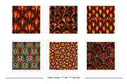 Tortoise Shell Animal Prints, a Pattern Graphic by karenfoleyphoto (Thumbnail 3 of 8)