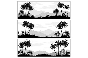 Landscapes With Palms