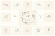 Botanical Hand Drawn Designs, Logos, a Seasonal Illustration by Designwork (Thumbnail 1 of 22)