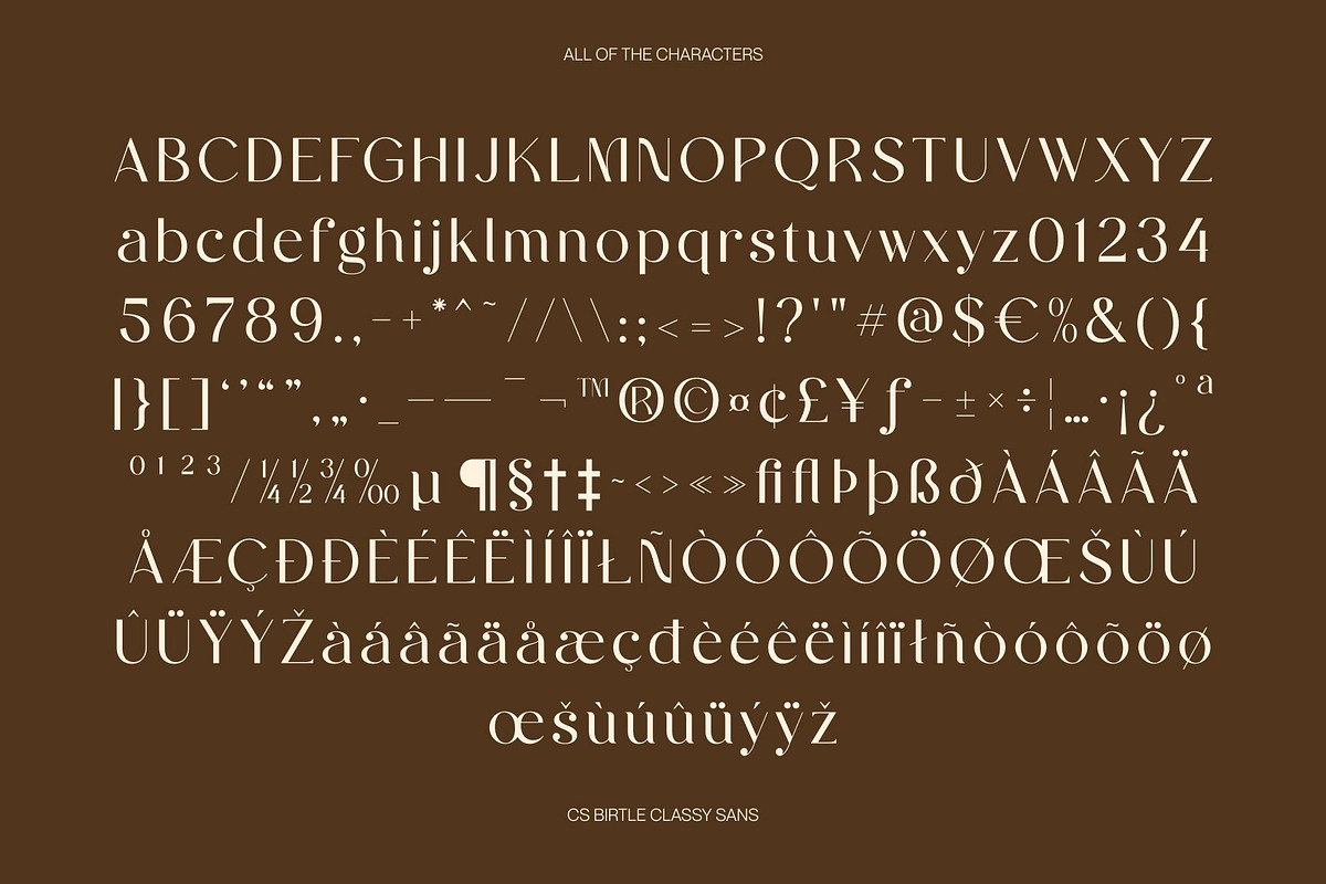 CS Birtle – Classy Sans Serif, a Sans Serif Font by Craft Supply Co. (Photo 8 of 8)