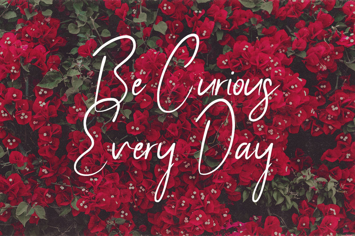 Youthlove Script Font preview 3