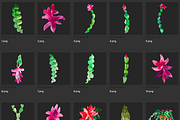 Watercolor Thanksgiving cactus, an Illustration by Belusuab (Thumbnail 4 of 14)