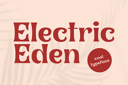 Electric Eden - Nostalgic Font, a Serif Font by HipFonts