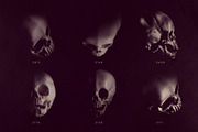 Skull Brushes, a Brush Add-On by RuleByArt (Thumbnail 10 of 10)