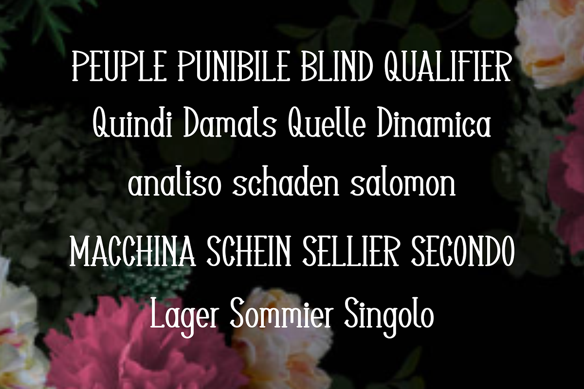 Janziar, a Serif Font by lelevien (Photo 5 of 5)