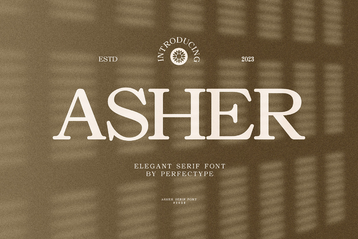 Asher Elegant Serif Font Typeface, a Serif Font by Perfectype (Photo 1 of 10)