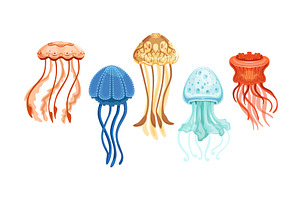 Jellyfish Collection, Beautiful, an Animal Illustration by TopVectors
