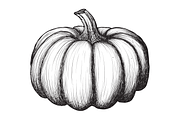 Hand-Drawn Vegetable Illustrations, a Food Illustration by BenDesigner (Thumbnail 4 of 6)