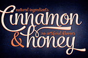 Salamander Script, a Script Font by Fenotype (Thumbnail 5 of 5)