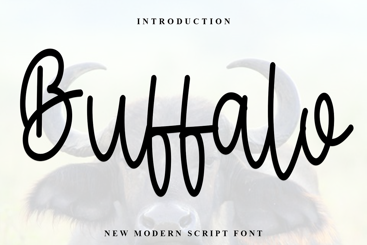 Buffalo, a Handwritten Font by FreshTypeINK (Photo 1 of 5)