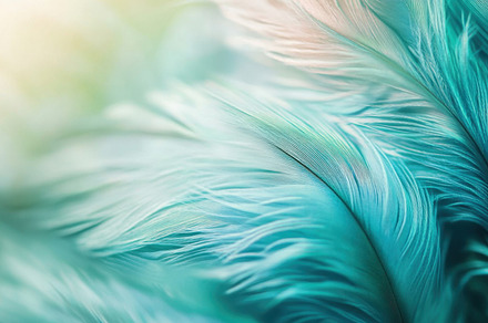 Delicate turquoise feather texture