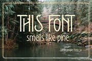 Heritager ArtDeco Ligature Font, a Serif Font by JumboDesign (Thumbnail 6 of 6)