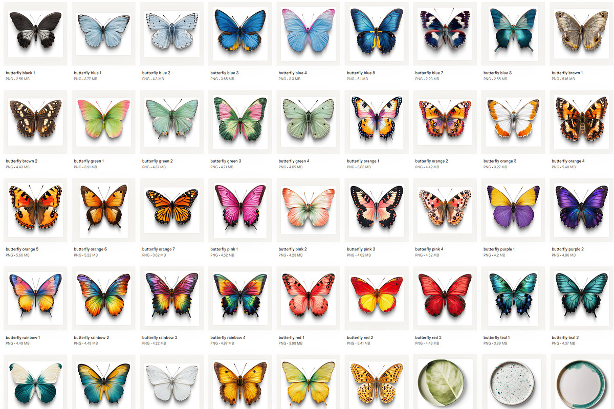 Flowers & Butterflies PNG Objects, an Object Graphic by Iconogenic (Photo 8 of 8)