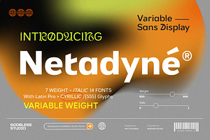 Netadyne