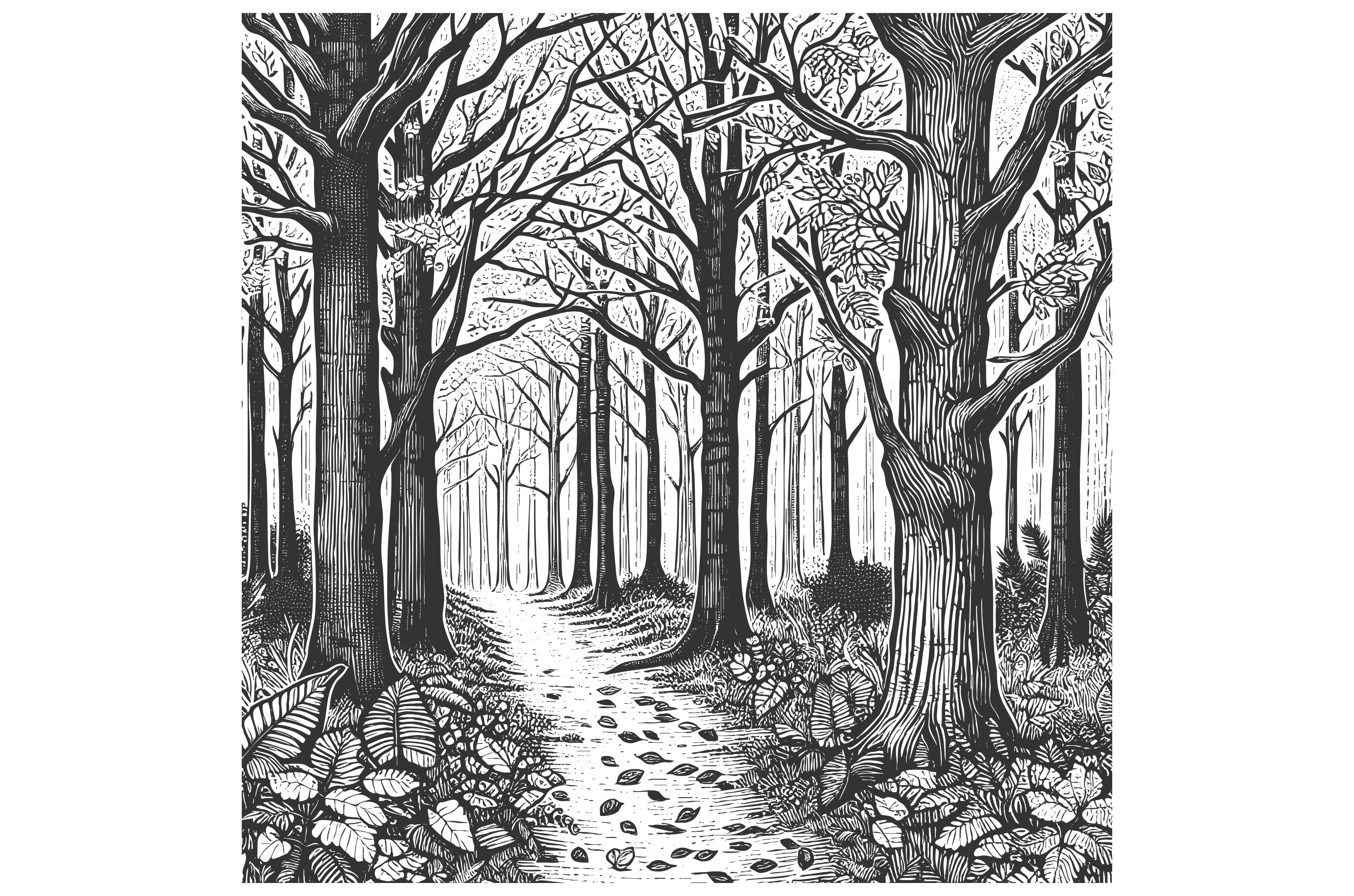 forest path through tall trees, an Illustration by AlexArt