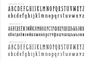 SUNN Serif Extended Font, a Font by Wild Ones (Thumbnail 2 of 7)