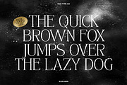 TAN - GARLAND, a Serif Font by TanType (Thumbnail 8 of 16)