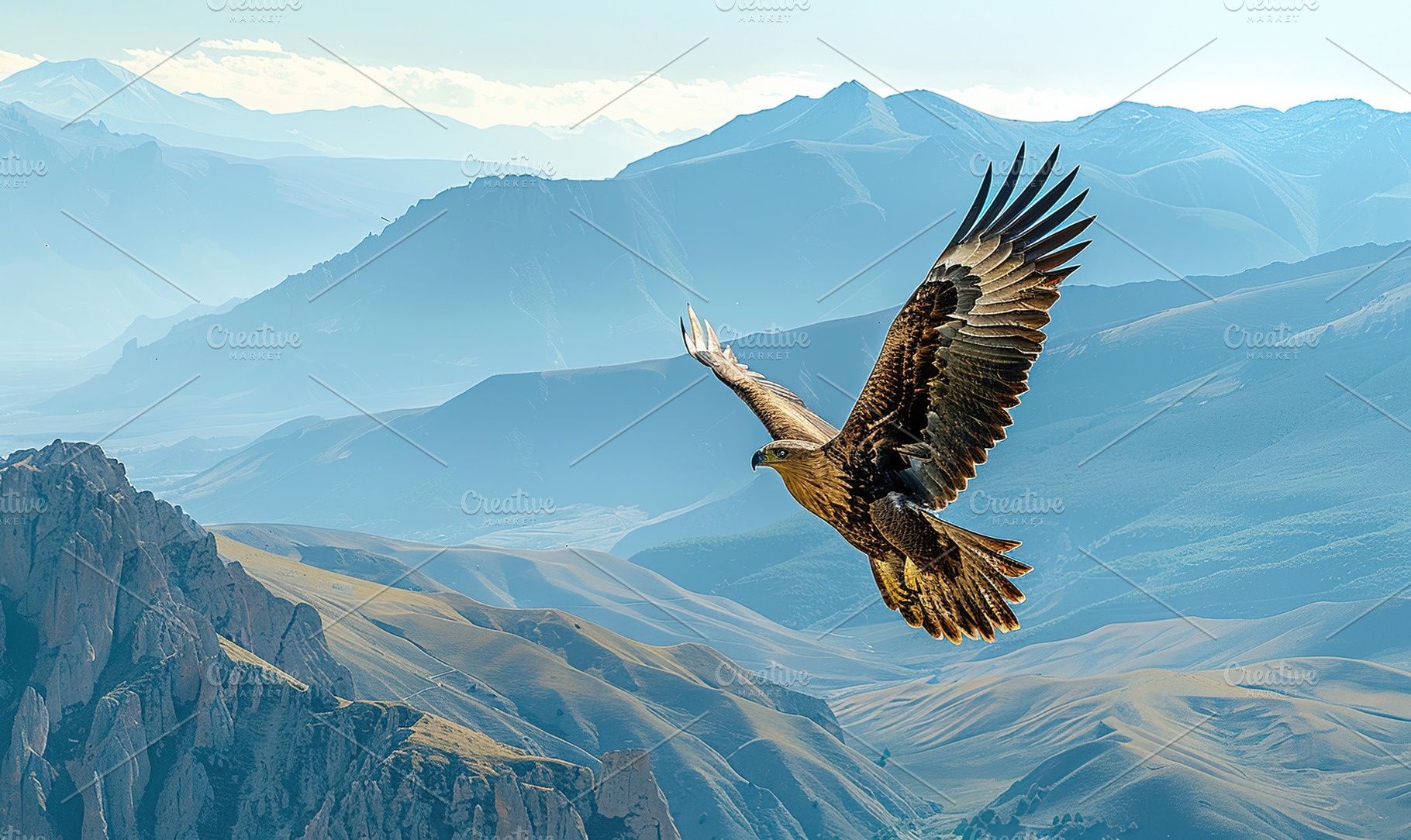 An impressive eagle flies with sprea, a Photo by LOGOCREATIVE