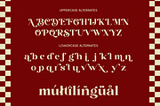 Sora Carnel - Retro Serif Typeface, a Serif Font by Say Studio (Thumbnail 6 of 10)