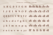 Velantia - Beauty Modern Serif Font, a Serif Font by NexaLine (Thumbnail 5 of 10)