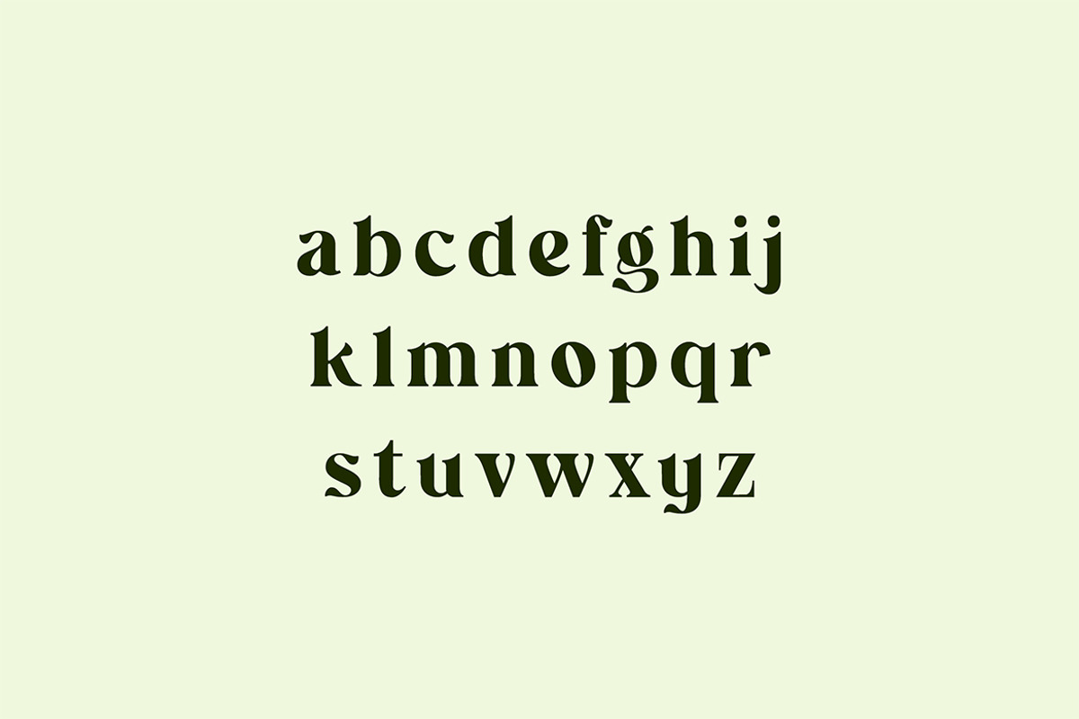 Wainscoted Modern Serif Font, a Serif Font by UICreative (Photo 7 of 12)